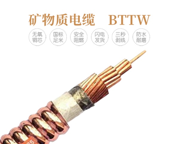 BTTW_矿物质电缆